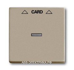 ABB BJB Basic 55 Шамп Накладка карточного выключателя(мех. 2025U)