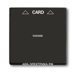 ABB BJB Basic 55 Шато (чёрн) Накладка карточного выключателя(мех. 2025U)