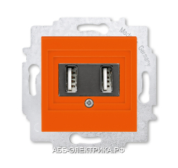 Розетка USB зарядка двойная ABB Levit оранжевый