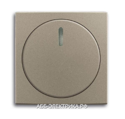 Светорегулятор поворотный 1000Вт, цвет Шампань, ABB Basic 55