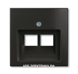 Компьютерная двойная розетка кат.5е, цвет Шато(черный), ABB Basic 55