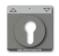 ABB BJE Solo/Future Серый Накладка для выключателя с замком