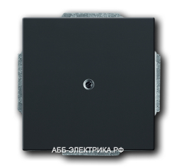 ABB BJE Solo/Future Графит Вывод кабеля (с суппорт