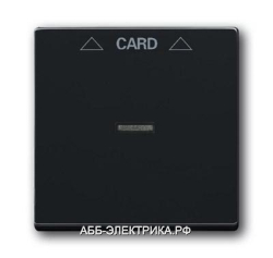 ABB BJE AW Solo/Future Антрацит Плата центральная (накладка) для механизма карточного выключателя 20