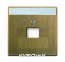 Розетка компьютерная 1-ая кат.5е, RJ-45 (интернет), цвет Античная латунь, ABB Solo/Future