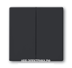 Выключатель 2-клавишный , цвет Антрацит, ABB Solo/Future