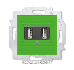 Розетка USB зарядка двойная ABB Levit зелёный