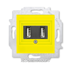 Розетка USB зарядка двойная ABB Levit жёлтый