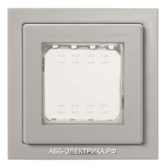 ABB NIE Zenit Серый Рамка монтажная 1-постовая, 2-модульная, рамка+набор монтажный IP55, FM